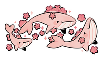 sakura whales