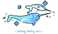 star narwhals